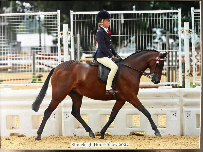 128cm Children’s Riding Pony of the Year HOYS 2022 Who's Qualified